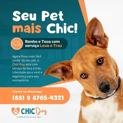 Seu Pet mais Chic!